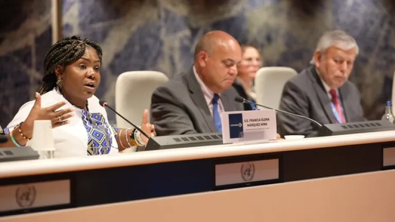 Francia Márquez invitó a repensar los derechos humanos desde la sede de la ONU