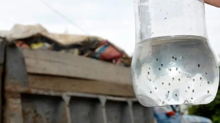 Perú decreta emergencia sanitaria en 20 regiones por dengue