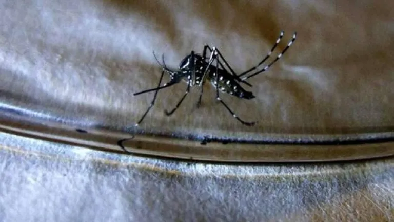 Dengue tiene en alerta a Colombia