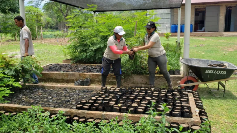 Cooperativas en Colombia: cuál es su función e importancia