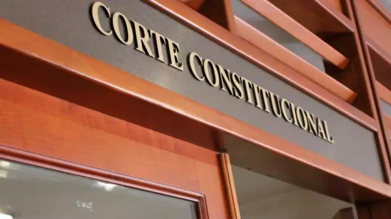 Llamado Corte Constitucional sobre violencia sexual 