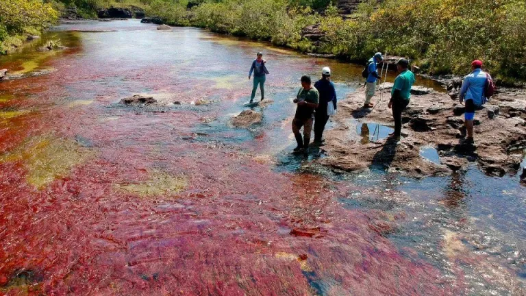 Caño Cristales