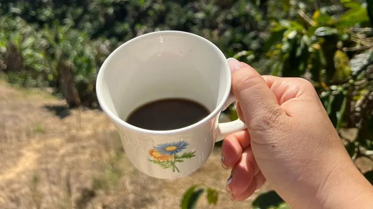 Santa Marta:  Concurso de Calidad de Cafés Especiales en 2025
