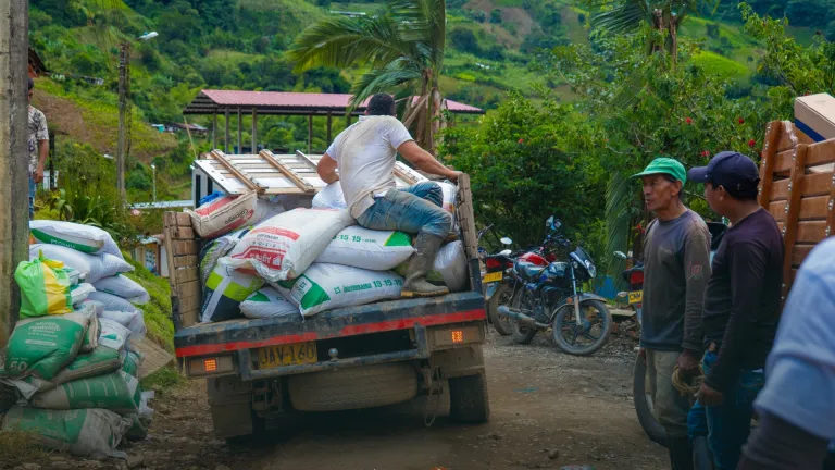 Familias cocaleras en Catatumbo, Cauca y Nariño ya hacen parte del Programa RenHacemos