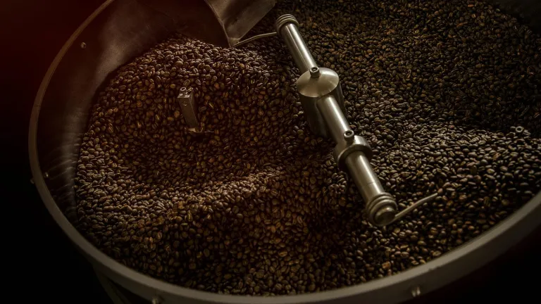 Frutos de la Paz Coffee: qué es, quiénes participan y dónde | Paz