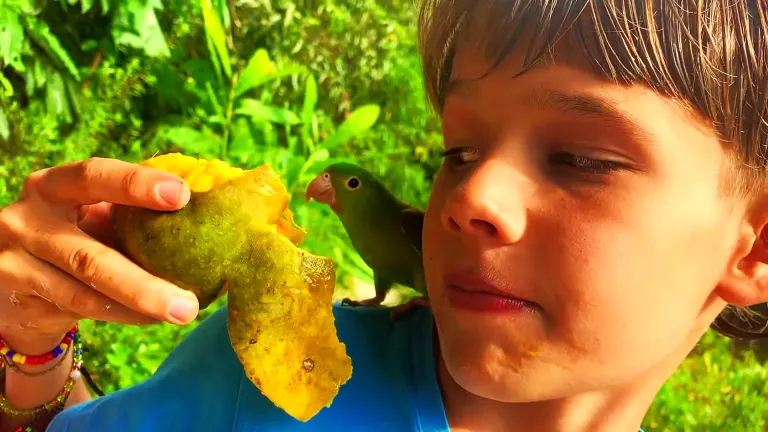 Descarga gratis ‘Mango’ de Jacana Jacana | Música infantil