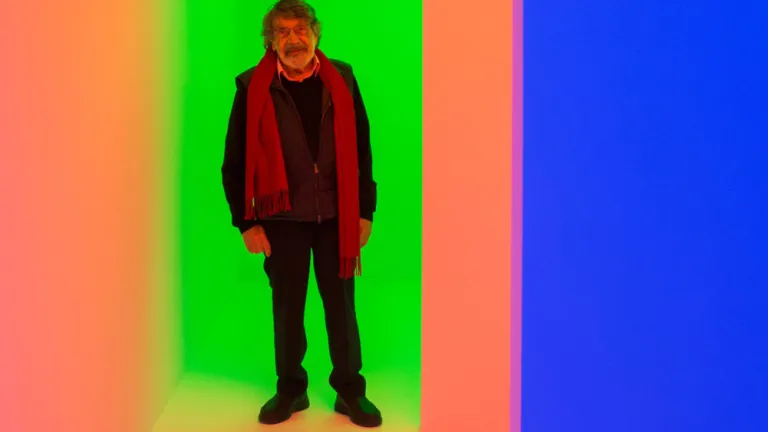 Carlos Cruz-Diez