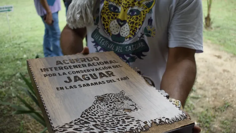 Meta: Concluyó el programa Amazonía Sostenible para la Paz