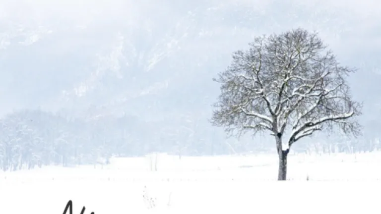 Demo de la Semana: Nieve, Hernando Moreno Burbano