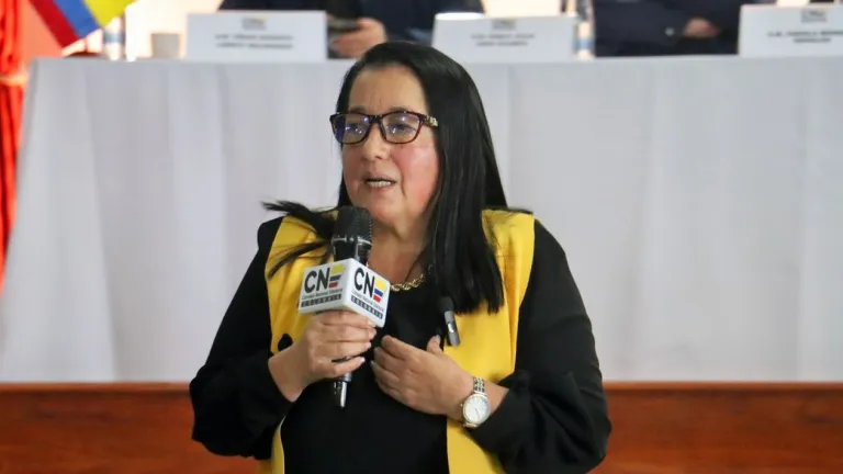 Consejo Nacional Electoral: qué es, funciones, quiénes lo conforman CNE