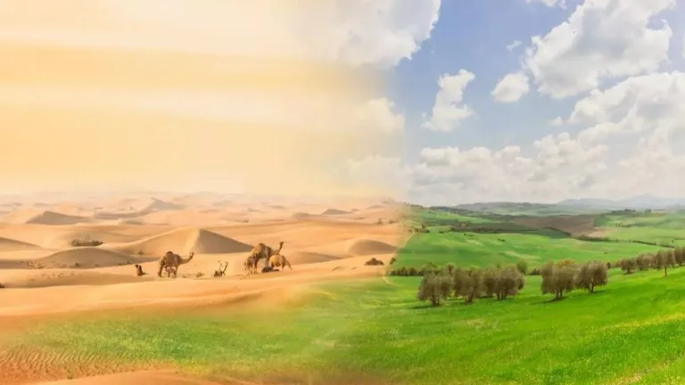 Día de Lucha contra la Desertificación y la Sequía martes 17 de junio de 2025