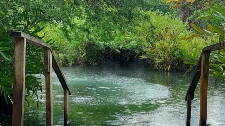 Ciénaga: promueven el turismo para dar a conocer lo mejor de la región