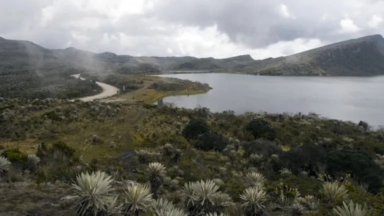 Documental sobre la realidad de los páramos en Colombia | Señal Colombia