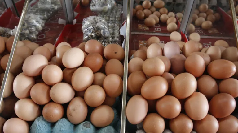Precio del huevo y el pollo 