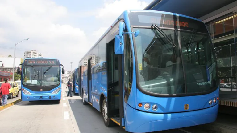 Transporte MiO en Cali: pérdidas por colados | Metrocali