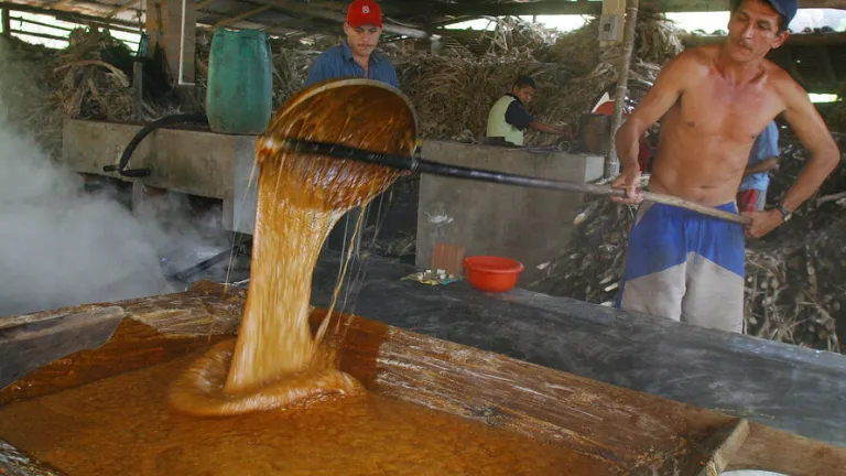 Campesinos de Nariño