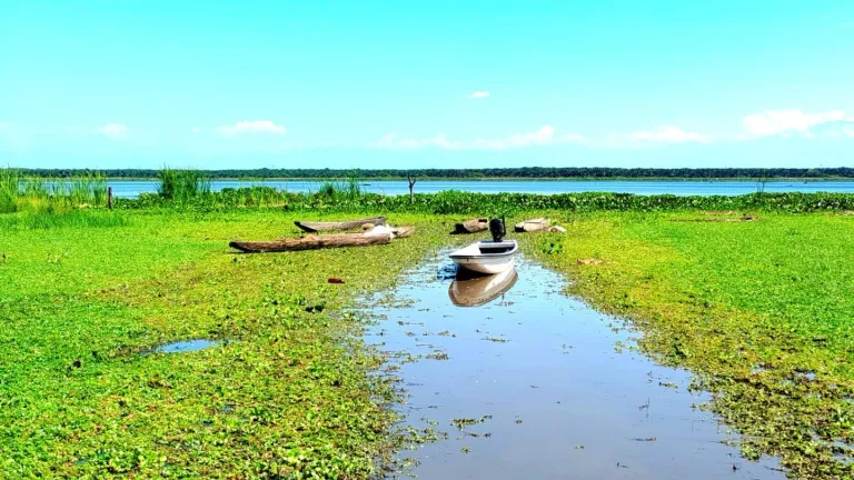 Contaminación en la ciénaga Mata de Palma afecta a pescadores del Cesar