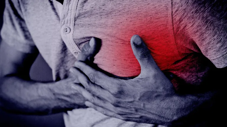 Día Mundial del Corazón: hábitos saludables y prevención de enfermedades cardiovasculares