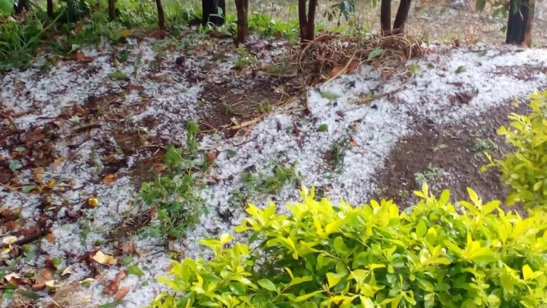 Invierno en Caldas: aguacero destechó casas en Aguadas y Pácora