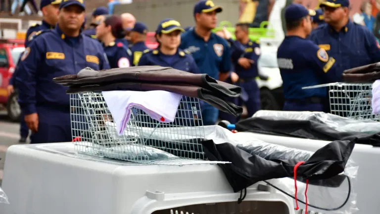 Bomberos caldas