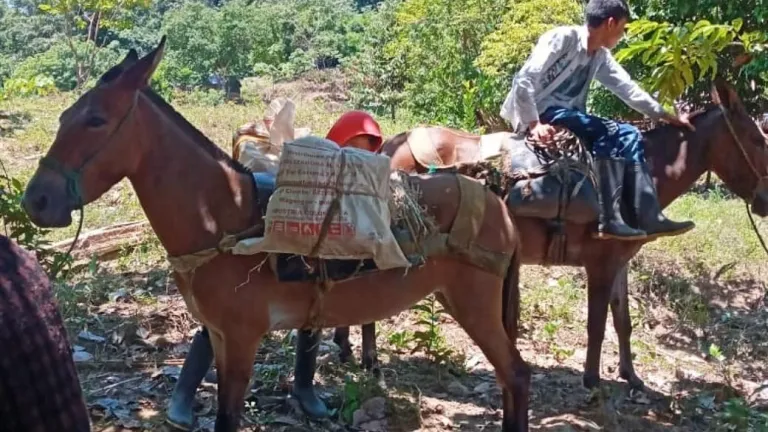 Desplazamiento de familias por enfrentamientos entre grupos ilegales en Bolívar