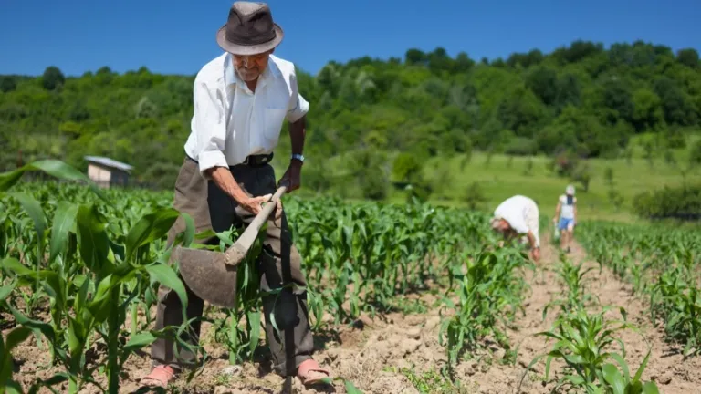 Crecimiento del sector agropecuario supera el 8% en 2024