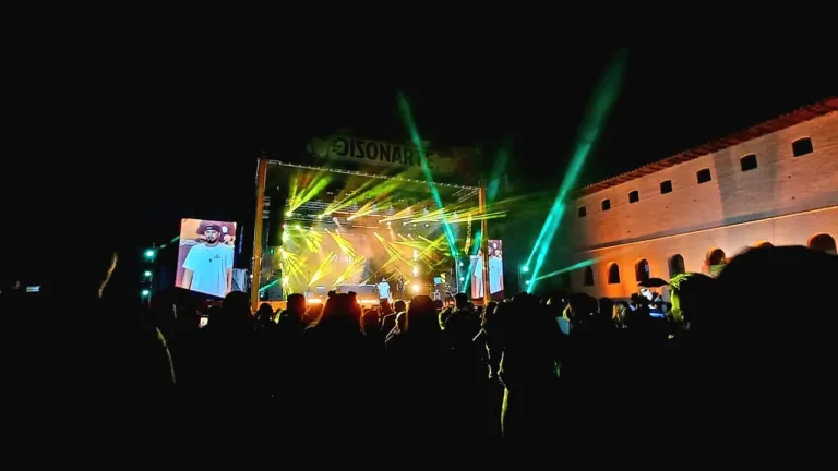 Festival Disonarte, desarrollo y declaraciones artistas
