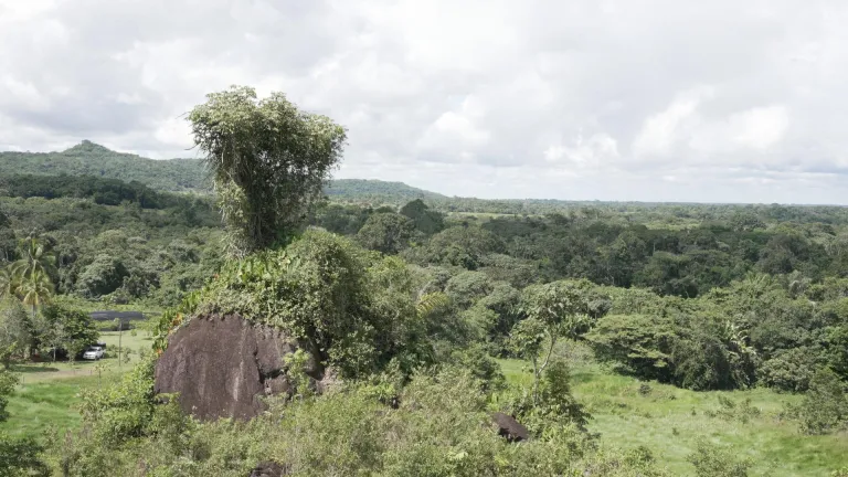 Terrapreta: reserva natural en Guaviare para la conservación amazónica