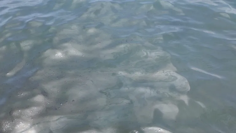 Derrame de aceite en el mar en la playa de Los Cocos |Santa Marta 
