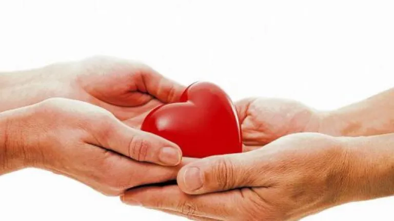 Proyecto donación de órganos: 55 Vidas