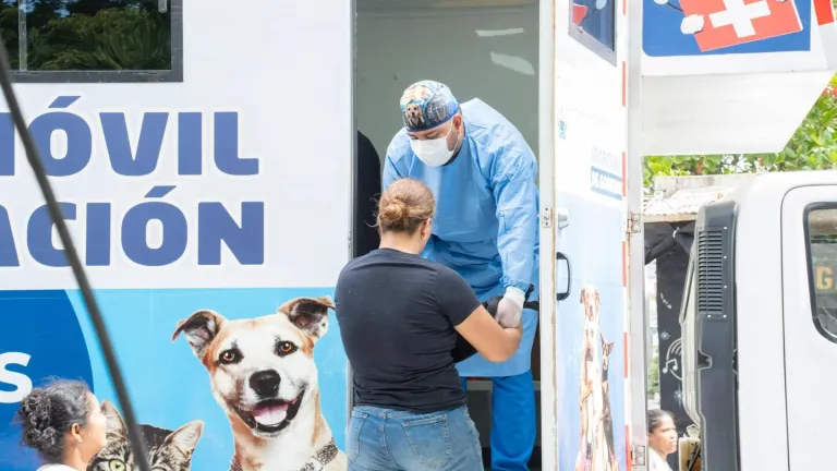 Santa Marta lanza jornada masiva de esterilización de perros y gatos