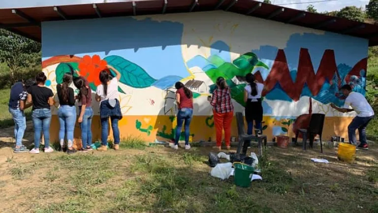 Desmovilización en Colombia: 2.037 casos desde 2018