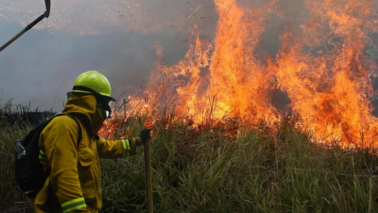 El fuego pone en alerta a Colombia: 114 municipios bajo amenaza de incendios forestales