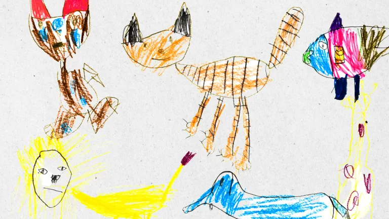 ¿Por qué le damos nombre a los animales?