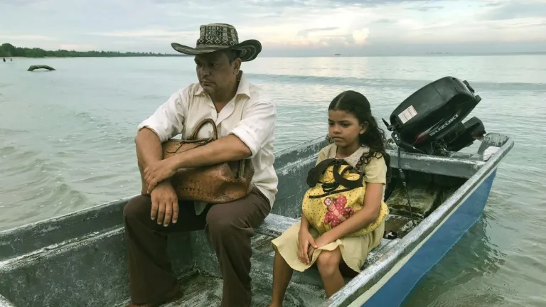 Película El árbol rojo | Estreno 1 de septiembre de 2022