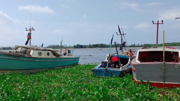 Riesgos de pescar en Bocas de Ceniza