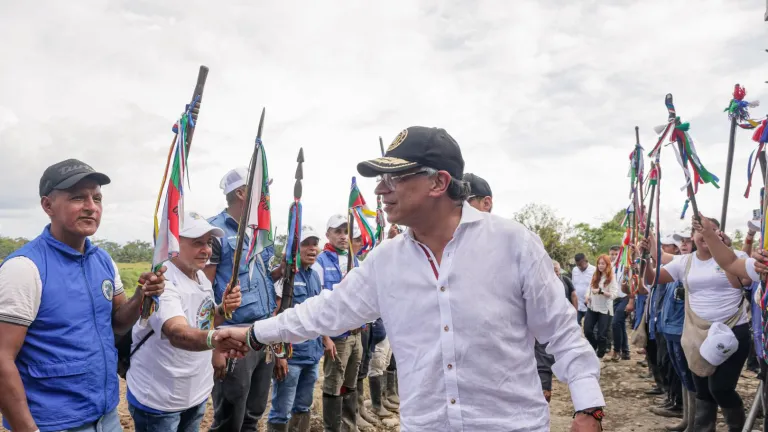 Erradicación voluntaria de hoja de coca en Nariño