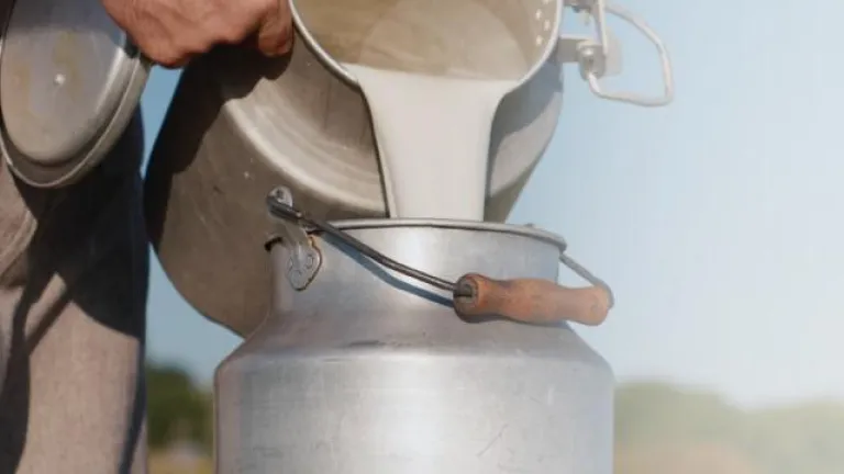 Adulteración de leche con lactosueros