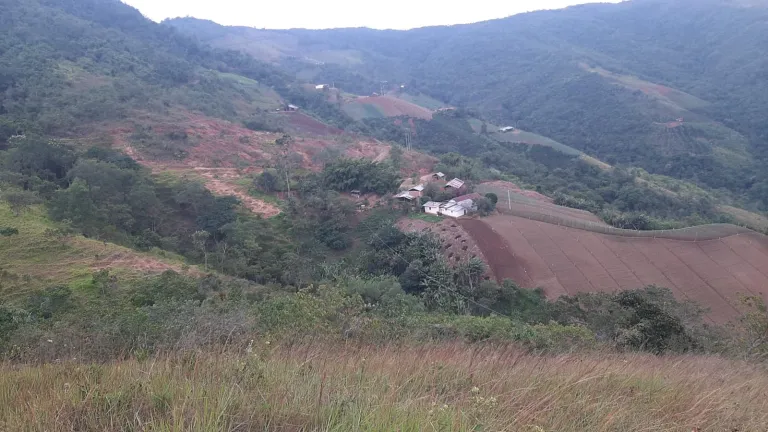 Fincas para la Paz en Norte de Santander 