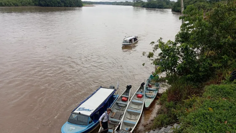 Zona de reserva en el Amazonas: historia, trabajo
