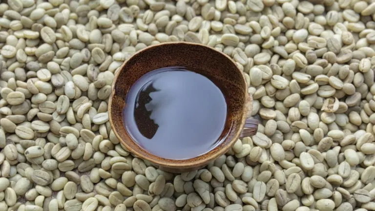 La Guajira exporta café 