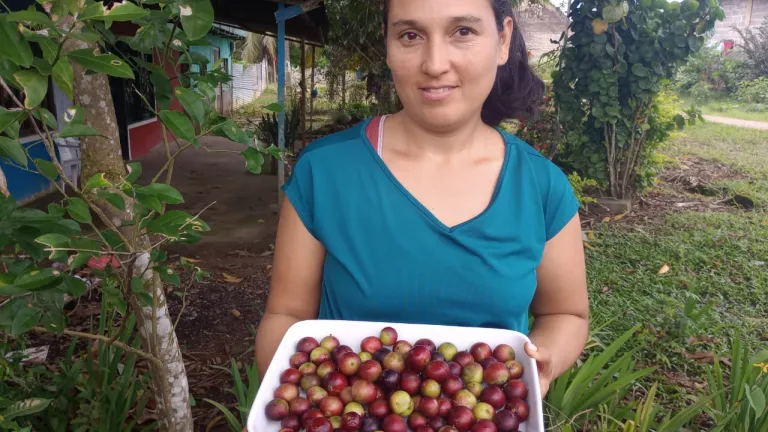 Camu-Camu, fruta Amazonía colombiana: qué es y emprendimientos 