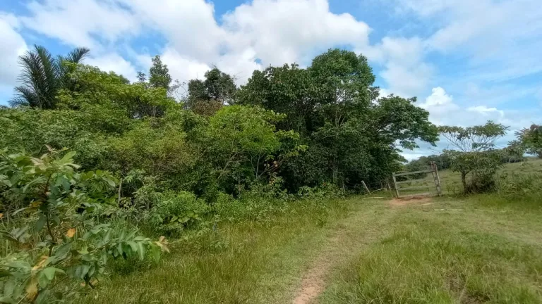 Legalizan predios rurales para familias de Leguízamo, Putumayo