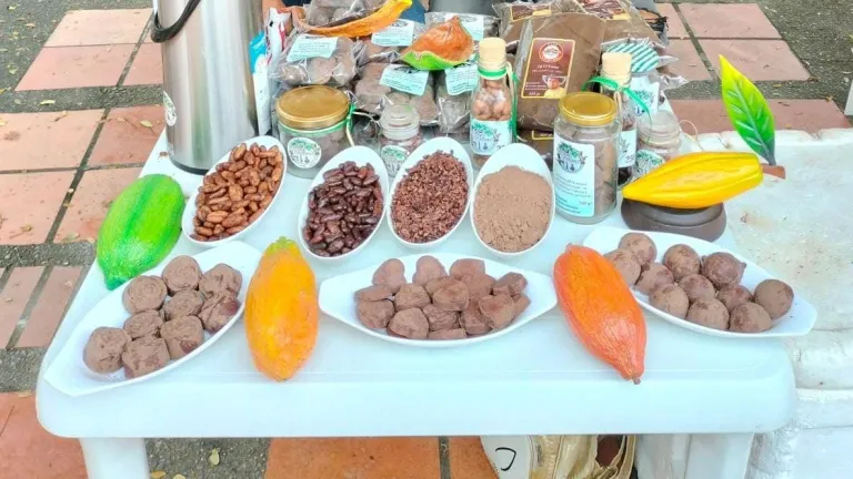 Chocolates Catatumbo: transformación legal desde los cultivos ilícitos