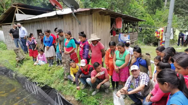 Productores agrícolas de Risaralda reciben apoyo