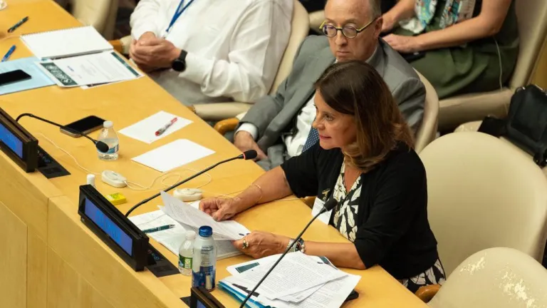 Vicepresidenta instó a seguir apoyando la paz en Colombia ante la ONU