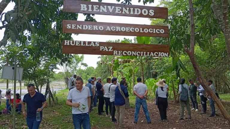 Acuerdo de Paz: avances y retos pendientes en Putumayo 