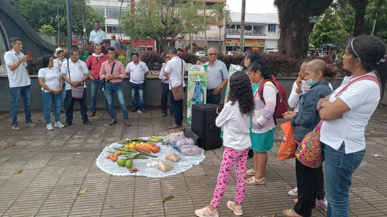 Zona de Reserva Campesina en el sur del Tolima