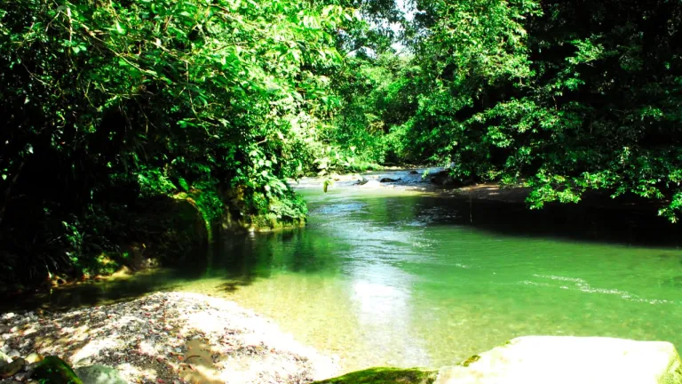 Turistas disfrutando las frescas y limpias aguas del río Vides