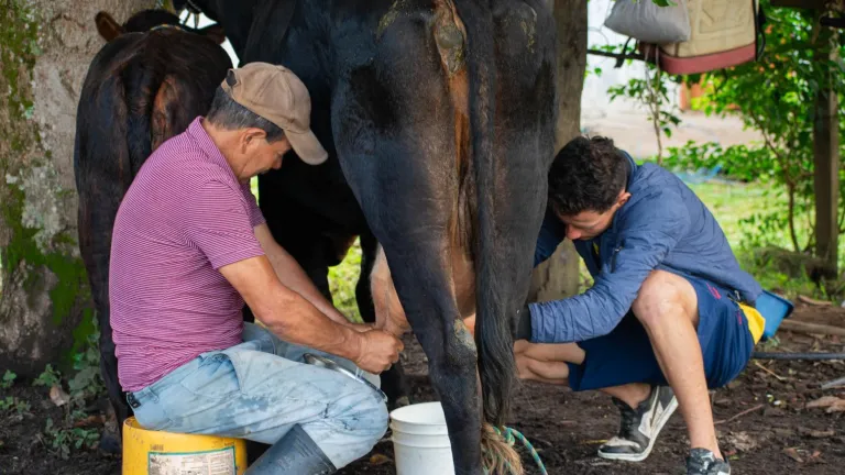 Agroecología para promover el campo en los jóvenes 